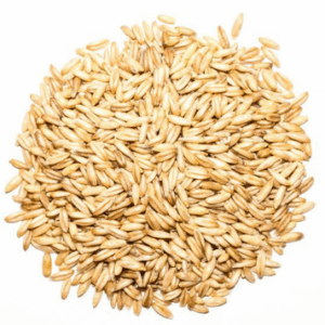 Barley Malt Sprouts
